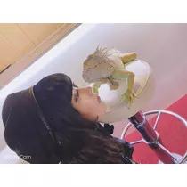 野崎