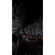 ひめち