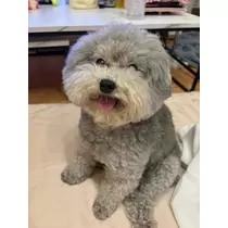 七夕 ゆき
