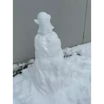 桐島 りゅう