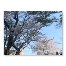 はづき