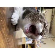 りか