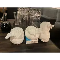 長瀬 純恋