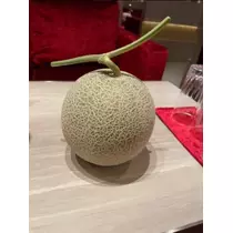 宝條 夏恋