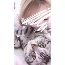 夢乃 サラ