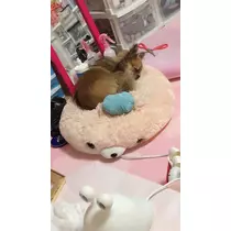 おひな
