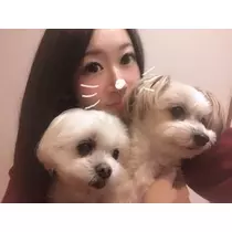 未来