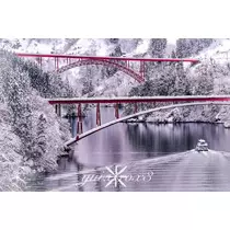 神崎　唯