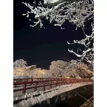 カグラ