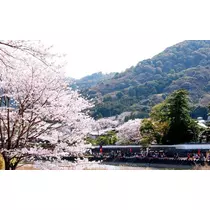 七星 夏純