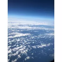 宝條 夏恋