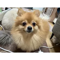 るい♡