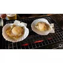 美月 れい