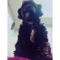 りょう