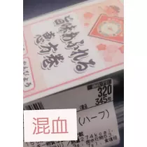 紫音