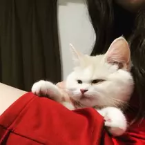 光月 楓蓮