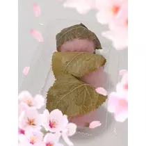 琥 白