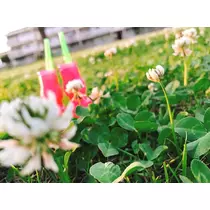 まいか