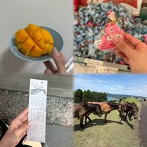 樹里