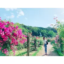 りか
