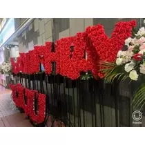 美月 れい