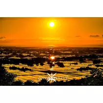 神崎　唯