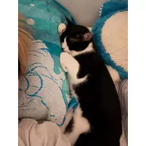 サキ