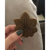 緑 四葉