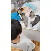 りか
