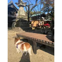 あいら