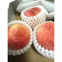 涼ママ