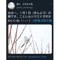 ひな