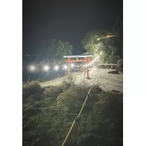 司