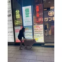 桐島 りゅう