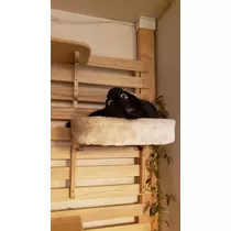 エミ （スタッフ）