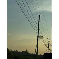 せいか