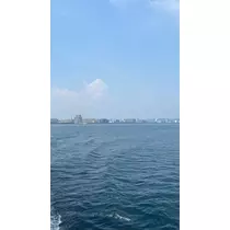 まい
