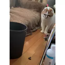 れみ