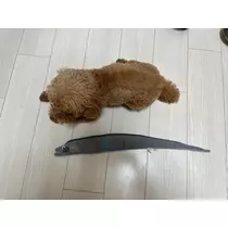 あいりちゃん
