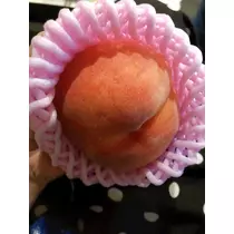 美月