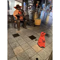 七星 夏純