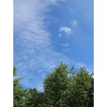 のはら かすみ
