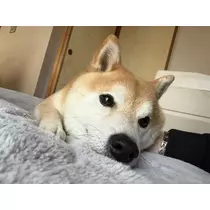 沓澤 愛怜那