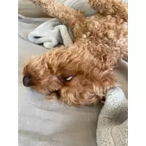 みり