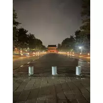 姫花