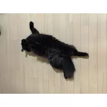 ♡15♡