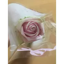白石 愛莉