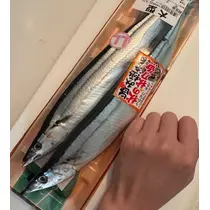 涼風 あき