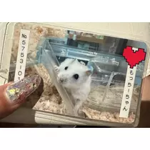 あんな