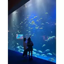 かびるんるんさわ